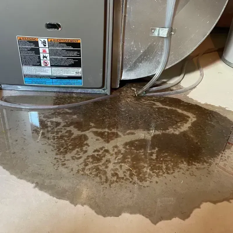 Appliance Leak Cleanup in Somonauk, IL